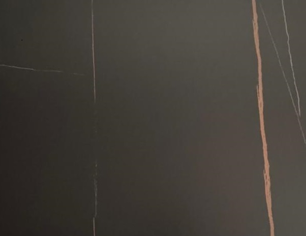 MESA TULIP BLACKIE 120